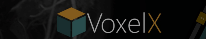 VoxelX