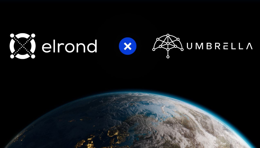 Elrond объявил о сотрудничестве с Umbrella Network