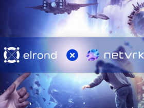 Elrond объявляет о сотрудничестве с социальной VR-платформой Netvrk