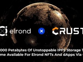 Elrond Network объявила о сотрудничестве с Crust Network