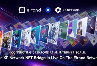 Elrond сообщил о запуске NFT-моста XP Network