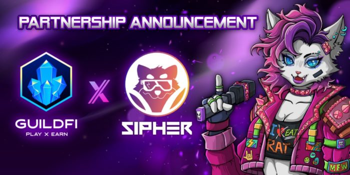 GuildFi объявила о сотрудничестве с Sipher