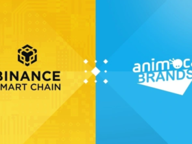 Binance Smart Chain и Animoca Brands запускают инвестиционную программу