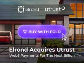 Elrond анонсировал покупку провайдера криптоплатежей Utrust